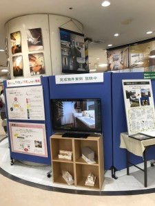 IMG-3410